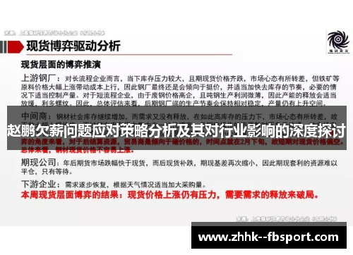 赵鹏欠薪问题应对策略分析及其对行业影响的深度探讨 赵鹏欠薪问题应对策略分析及其对行业影响的深度探讨